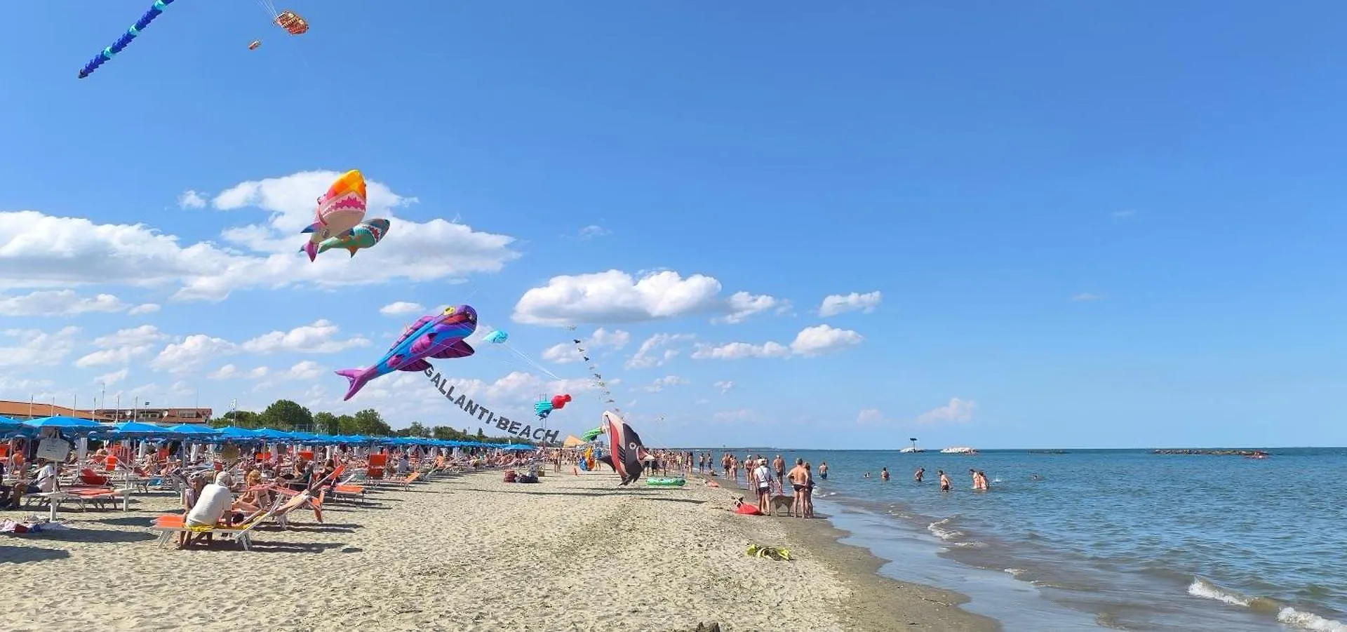 Pomposa Premium Lite Frontemare Daire Lido di Pomposa 0*,  İtalya